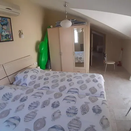 Palmbeach Site 费特希耶