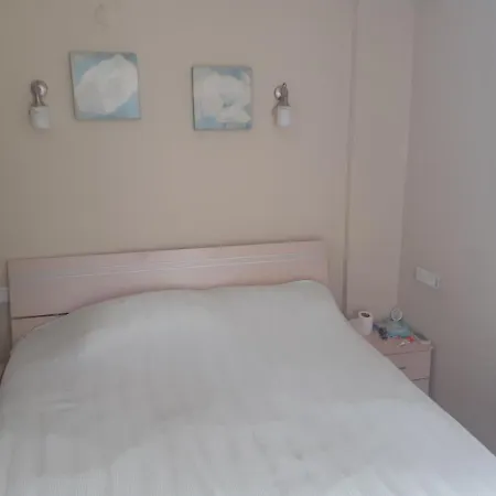 Palmbeach Site * 费特希耶